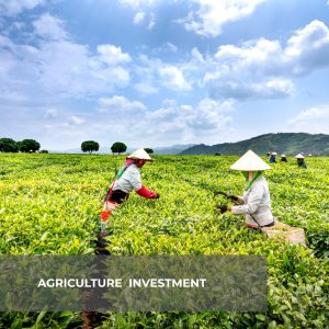 Agriculture